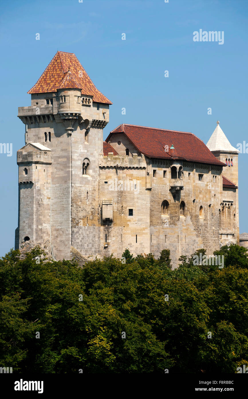 Europa, Österreich, Niederösterreich, Mödling, die Burg Liechtenstein liegt Am Rande des Wienerwaldes im Naturpark Föhrenberge. Foto Stock