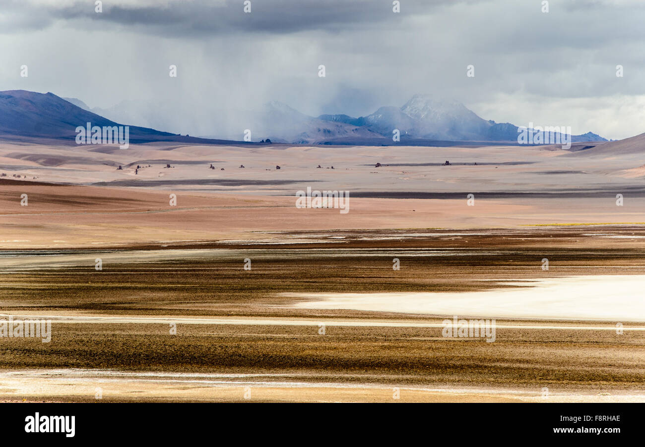 Monjes de la Pacana vicino al confine tra Cile e Argentina Foto Stock