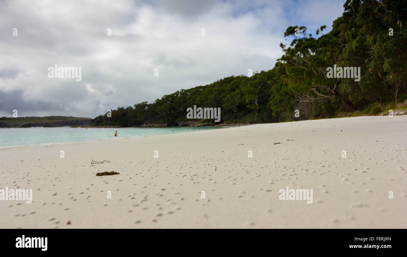 Jervis Bay Beach, Nuovo Galles del Sud, Australia Foto Stock