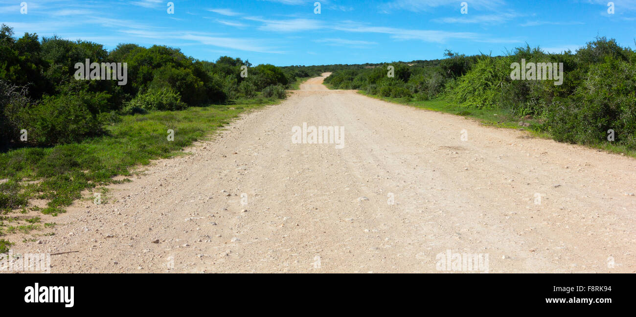 Vuoto su strada sterrata, Aberdeen pianura, Capo orientale, Sud Africa Foto Stock