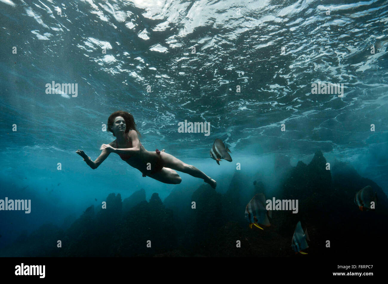 Modello in immersione subacquea libera danza e posa. Isola di la Digue, Seychelles Foto Stock