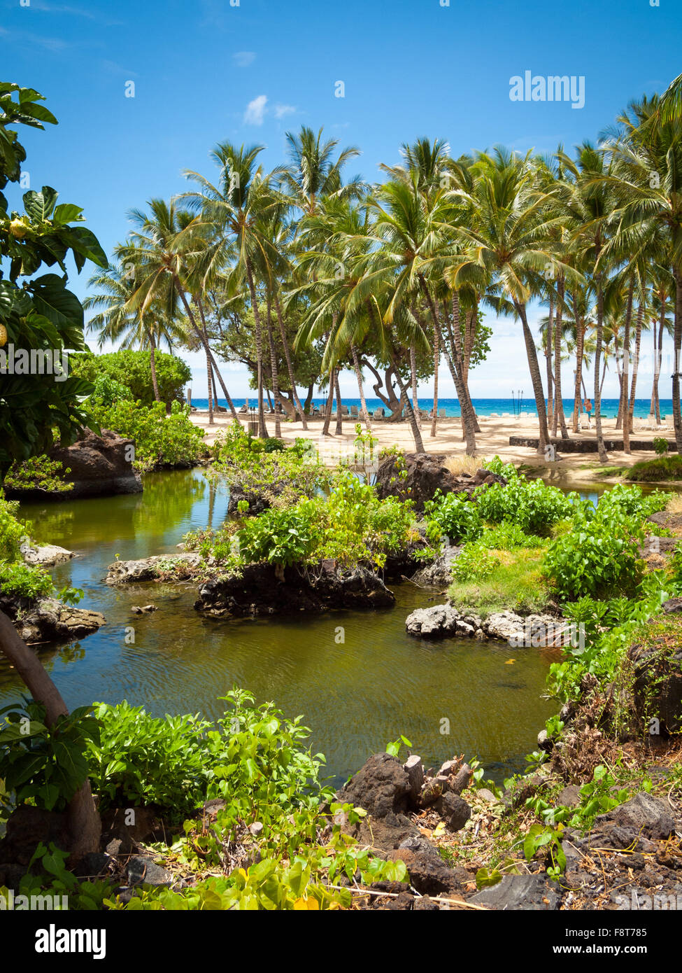 Una vista di Keanapou stagno, un antico Hawaiian peschiera, vicino i motivi del Fairmont Orchid, Kohala Coast, Hawai'i. Foto Stock