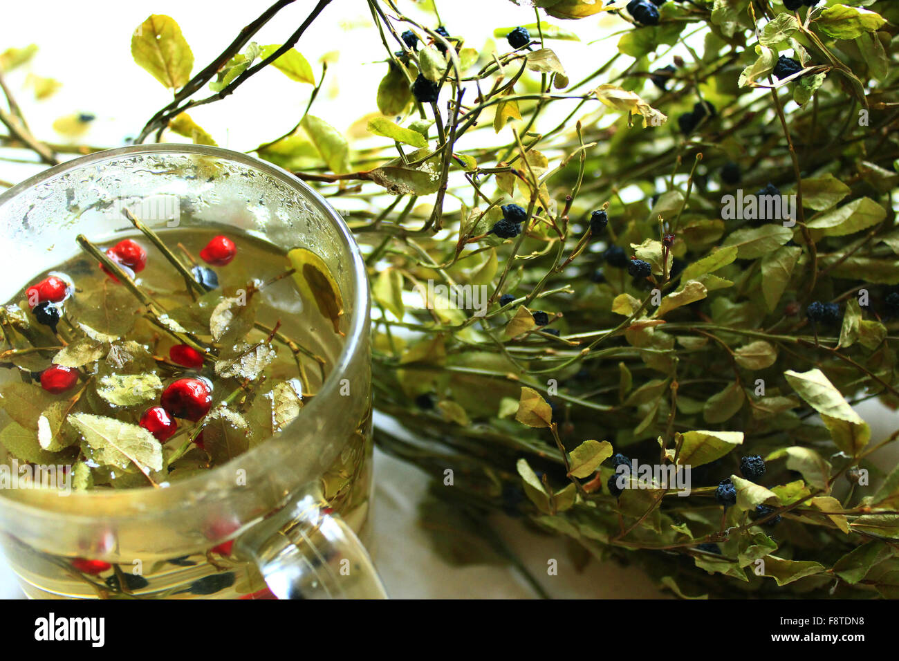 Utile di infuso di tè dalle foglie e bacche di mirtillo e bacche di schisandra Foto Stock