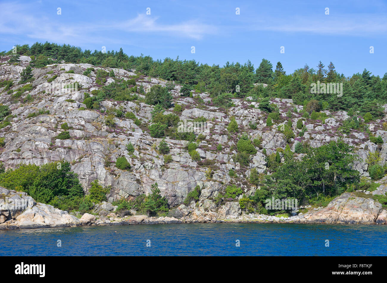 Paesaggio boscoso di rocce di granito Foto Stock