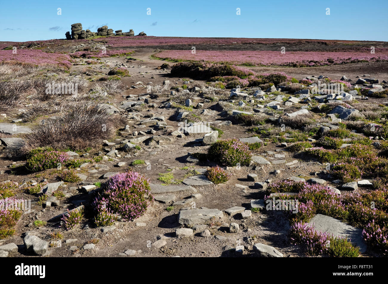 La ruota pietre sul bordo Derwent nel Peak District, Derbyshire, in Inghilterra. Foto Stock