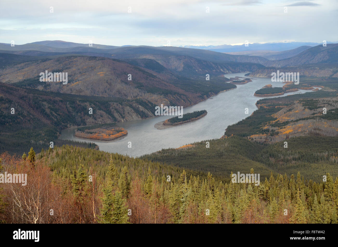 Il fiume di Yukon vicino alla città di Dawson, Yukon Foto Stock