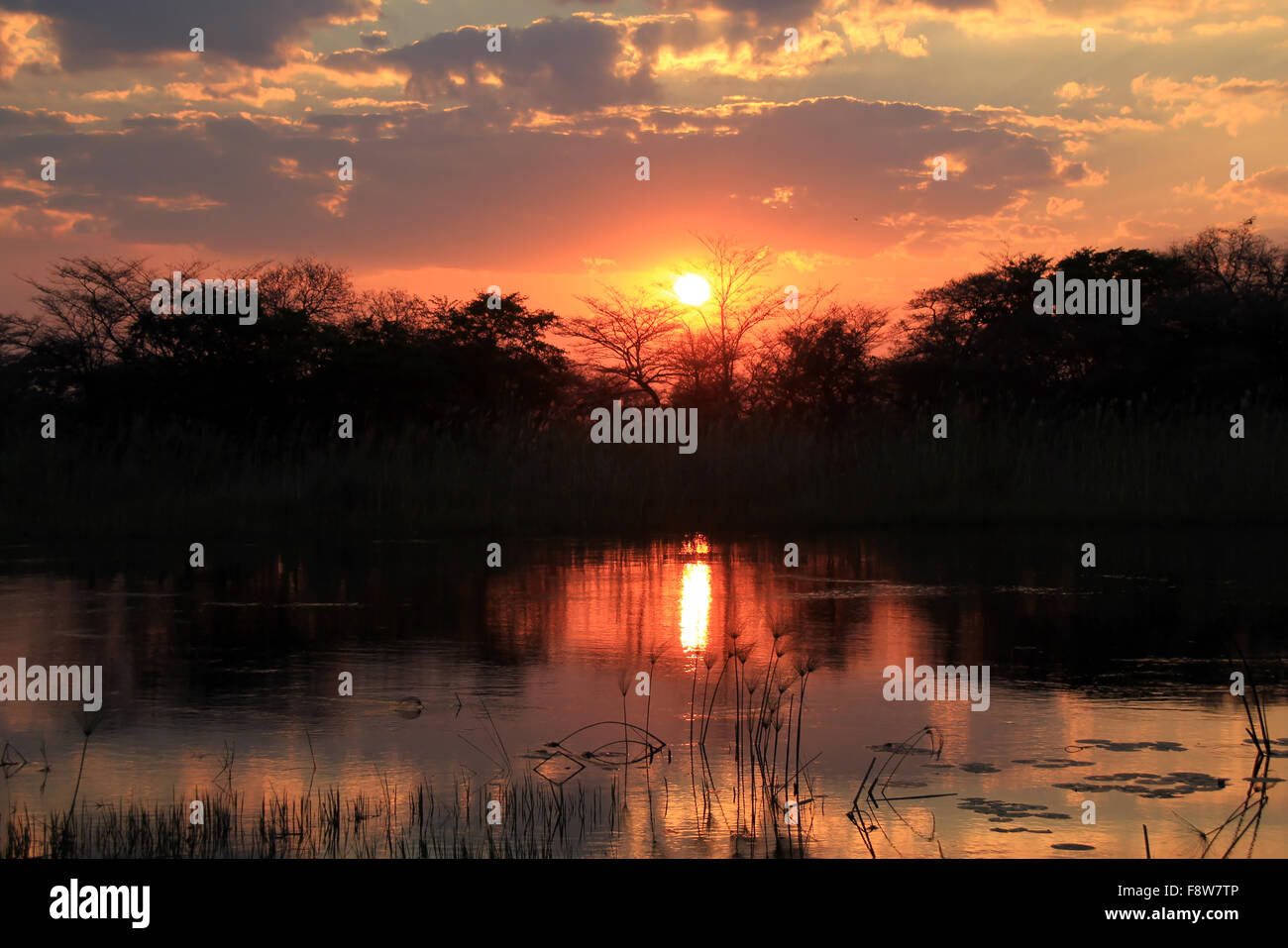Tramonto al fiume Kwando. Caprivi Strip, Namibia Foto Stock