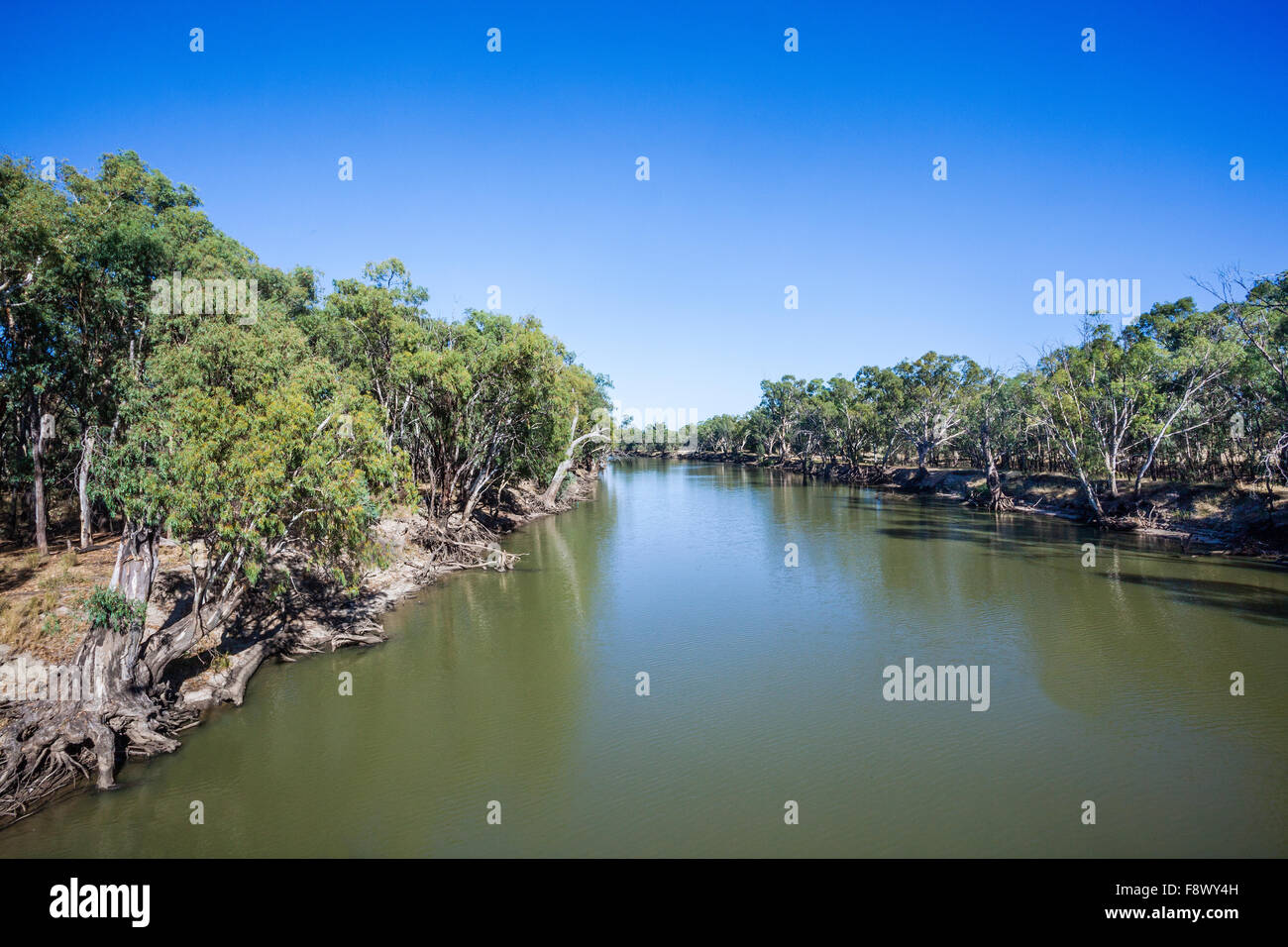 Australia, Nuovo Galles del Sud occidentale Regione Riverina, fiume Murrumbidgee a Hay Foto Stock