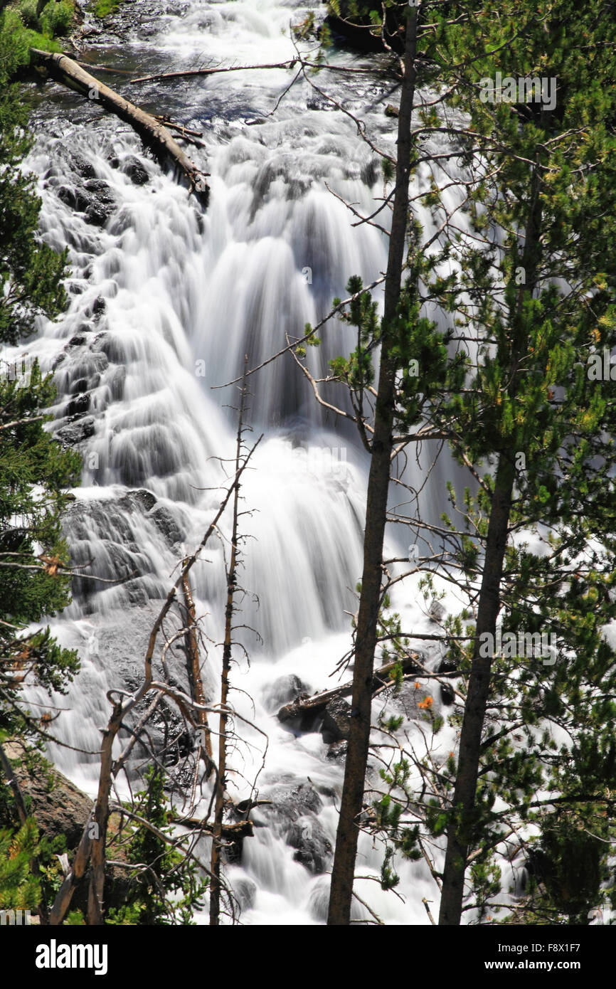 Il Kepler Cascades in Yellowstone Foto Stock