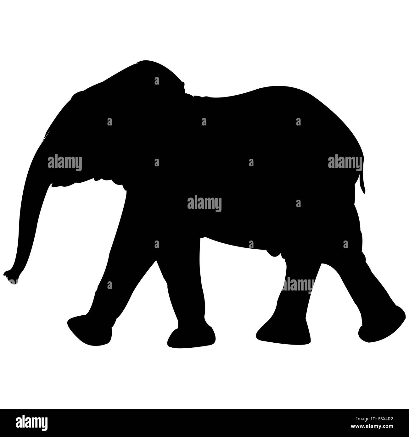 Baby Elephant silhouette isolato su bianco Foto Stock