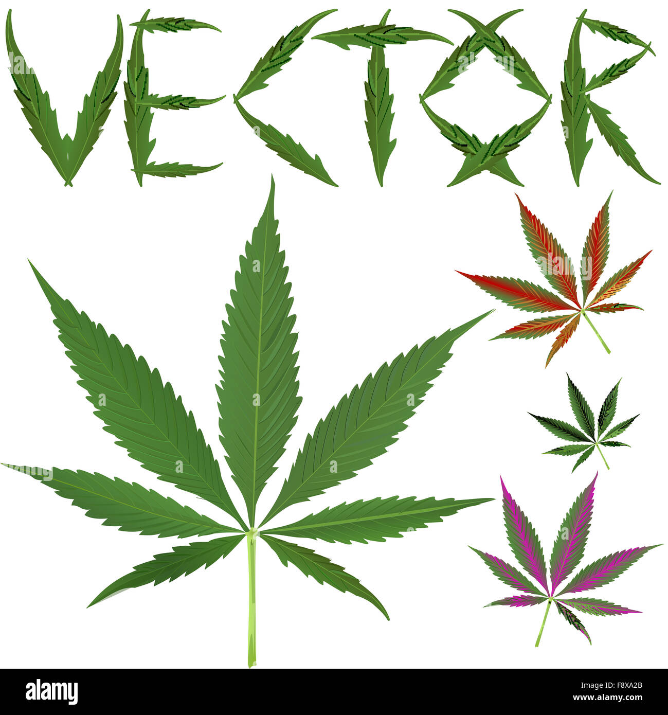 La marijuana leafs vettori Foto Stock