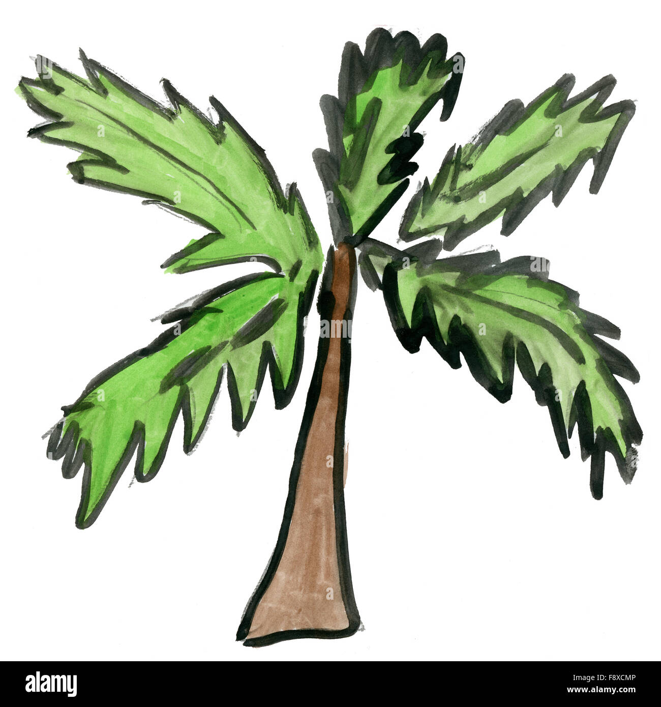 Palm tree isolati su sfondo bianco Foto Stock