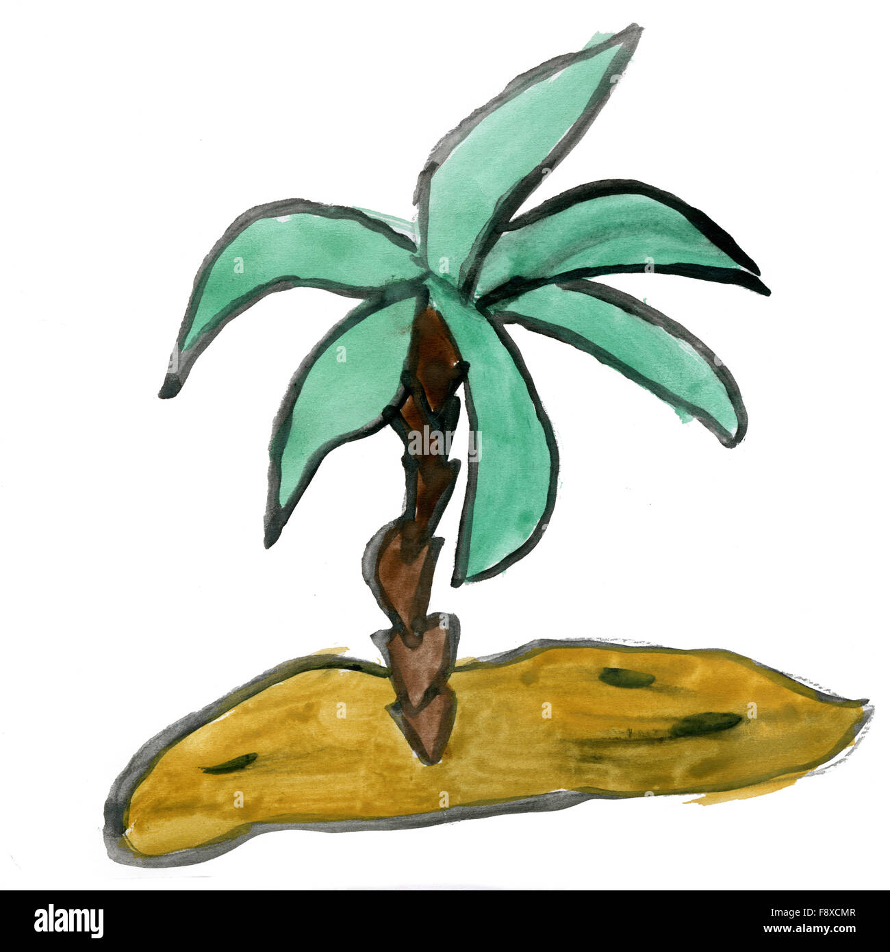 Palm tree isolati su sfondo bianco Foto Stock