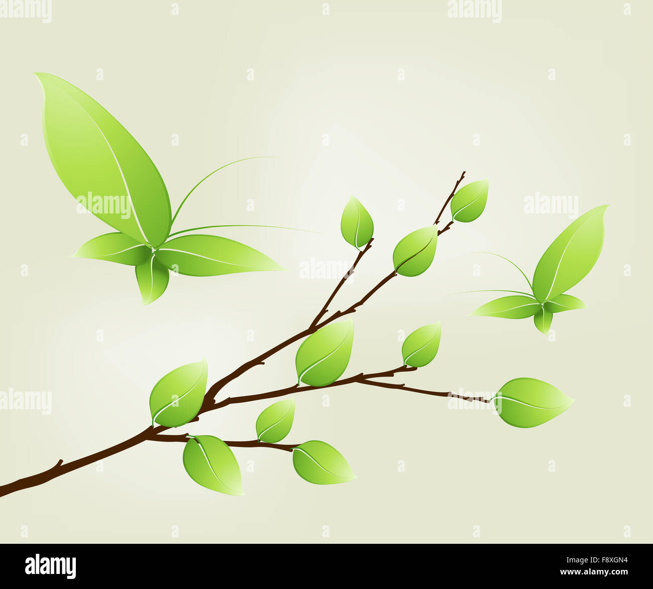 06 creativo Foto Stock