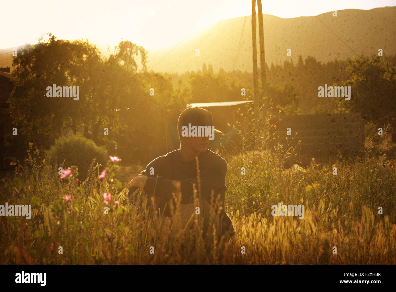 Ragazzo in un campo al tramonto ora d'oro Foto Stock