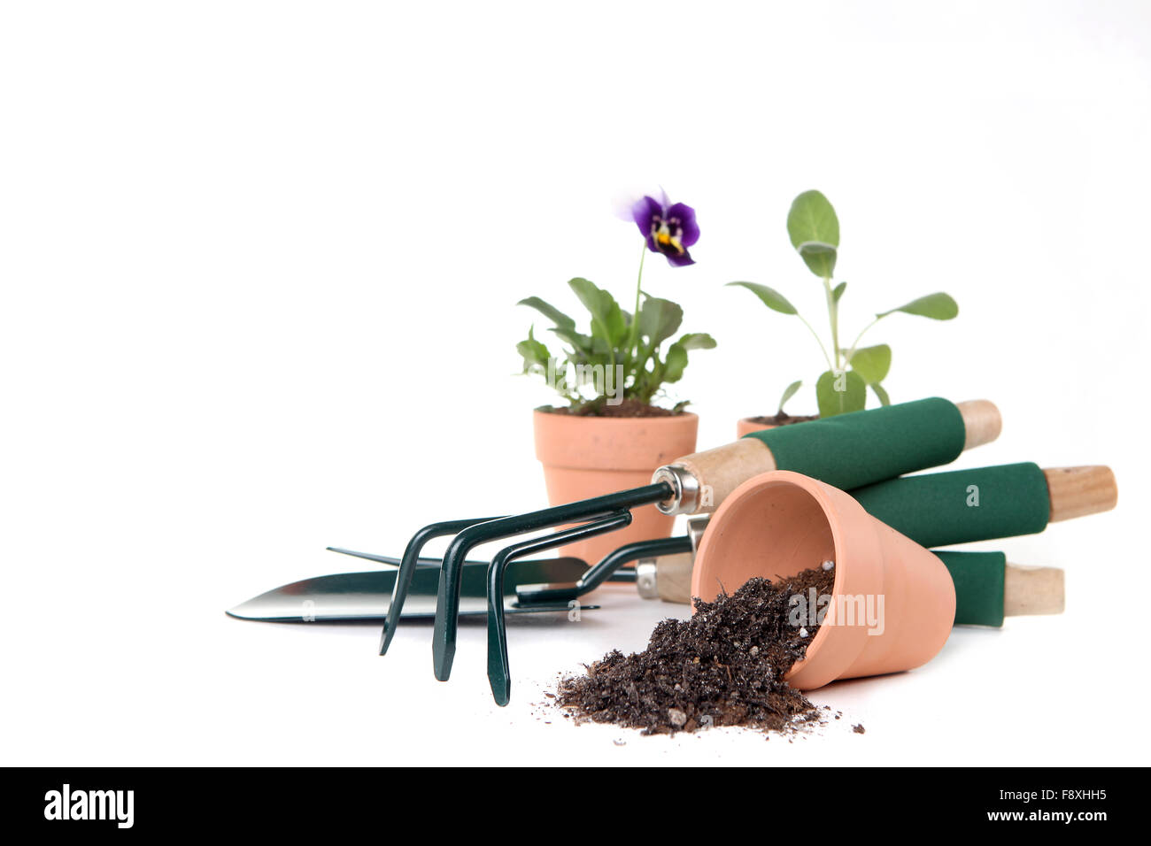 Forniture di giardinaggio con spazio di copia Foto Stock