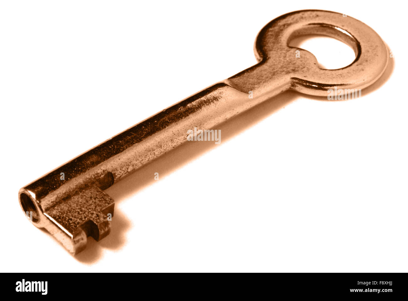 Chiave d'oro. Foto Stock