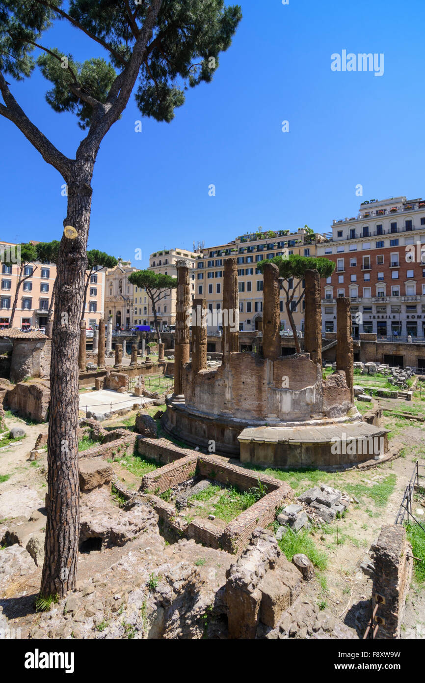 Le rovine romane in Largo di Torre Argentina, Roma, Italia Foto Stock