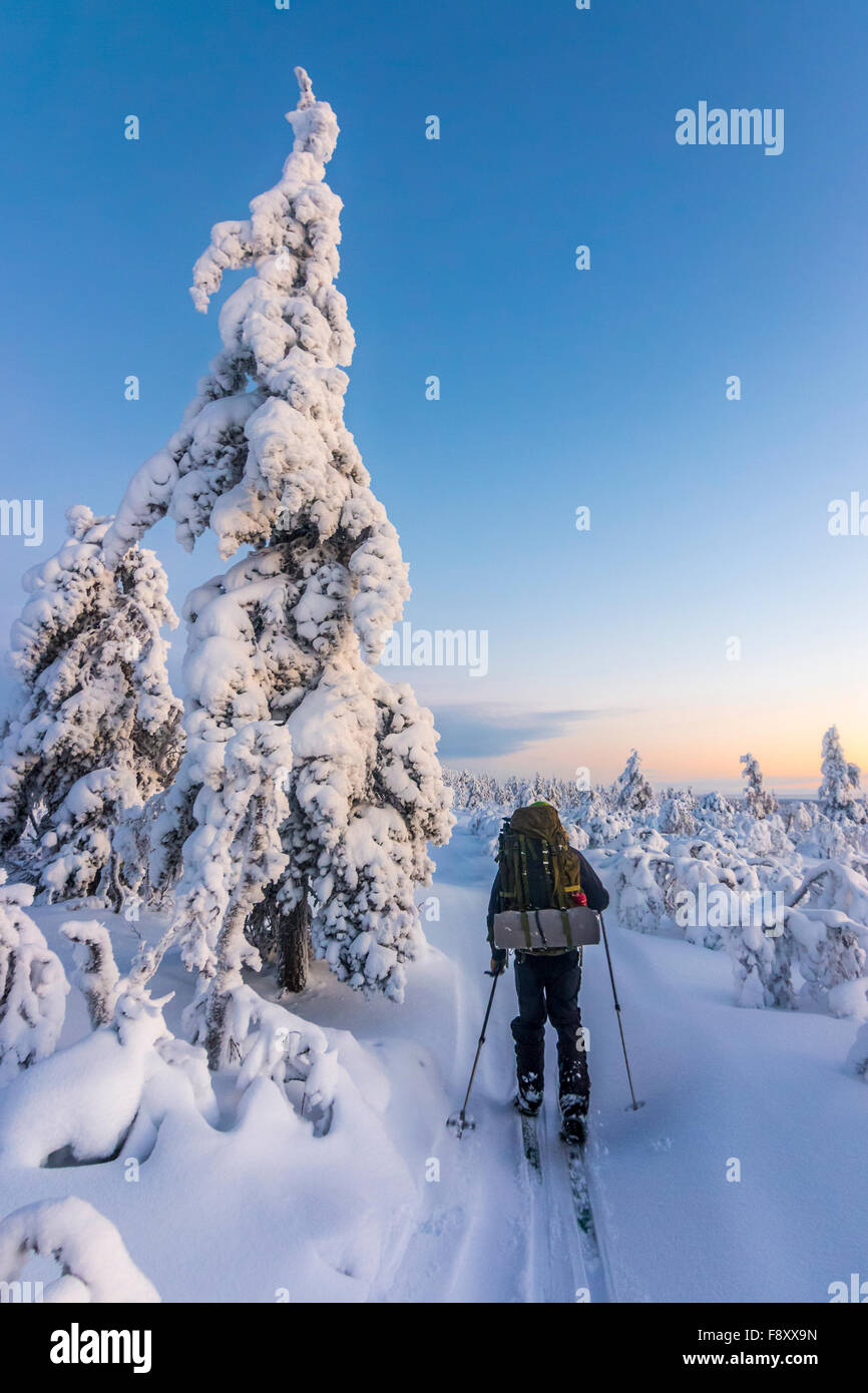 Lo sci attraverso paesaggi invernali Foto Stock