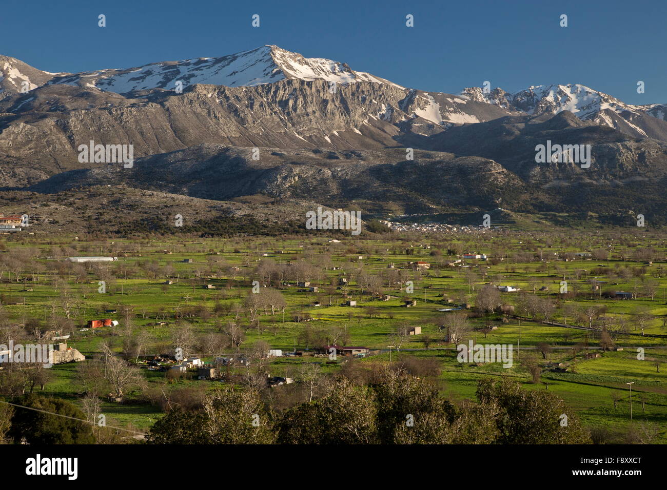 Campo e modello di insediamento, con aree allagate, sull'altopiano di Lassithi nella primavera, Creta. Un grande verso l'interno-bacino drenante Foto Stock