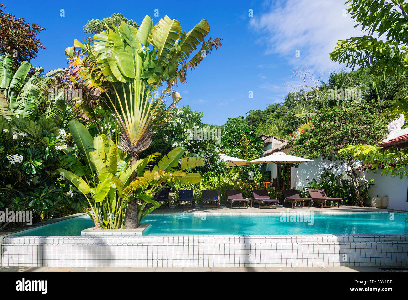 Tropical Resort piscina giardino in kep Cambogia Foto Stock