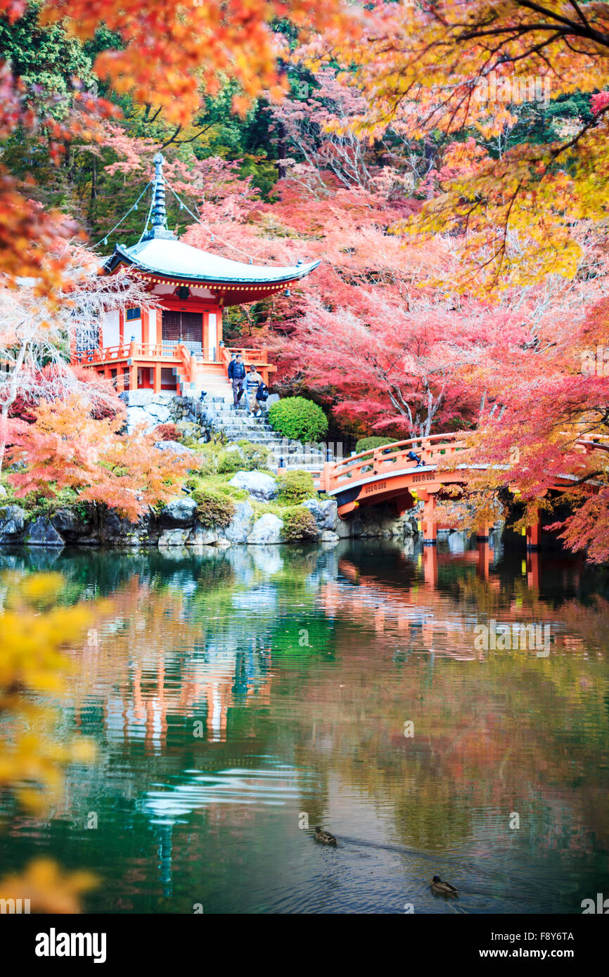 Kyoto, Giappone - 24 Novembre 2013: la stagione autunnale,il lasciare il cambiamento di colore rosso nel tempio del Giappone Foto Stock