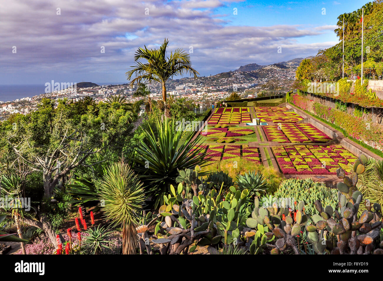 Giardino botanico di Funchal e vista panoramica della città in un giorno nuvoloso, Madeira, Portogallo Foto Stock