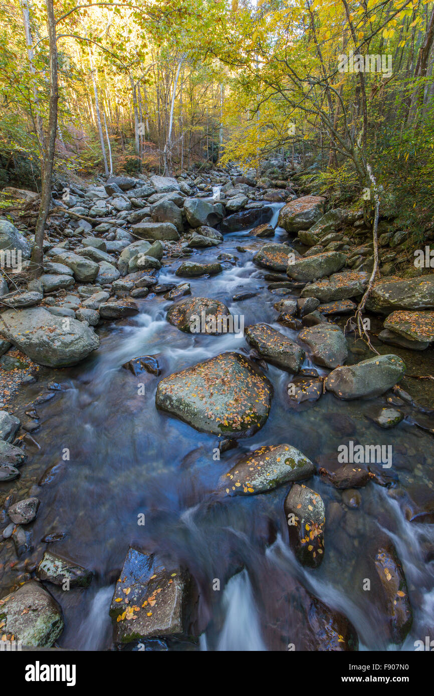 Polo Centrale Little Pigeon River nel Greenbrier area del Parco Nazionale di Great Smoky Mountains Tennessee Foto Stock