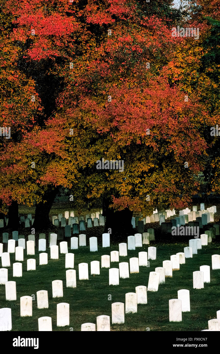 Grand vecchi alberi con colorate Foglie di autunno compensato il starkness di migliaia di marmo bianco lapidi del militare degli Stati Uniti membri sepolto nel Cimitero Nazionale di Arlington, nella contea di Arlington, Virginia, Stati Uniti d'America. Fu il luogo di sepoltura è il luogo del riposo finale per più di 400.000 i veterani di tutte le guerre in cui gli americani hanno combattuto. Esso è stato istituito nel1864 su oltre 600 acri attraverso il fiume Potomac da Washington, D.C. Foto Stock