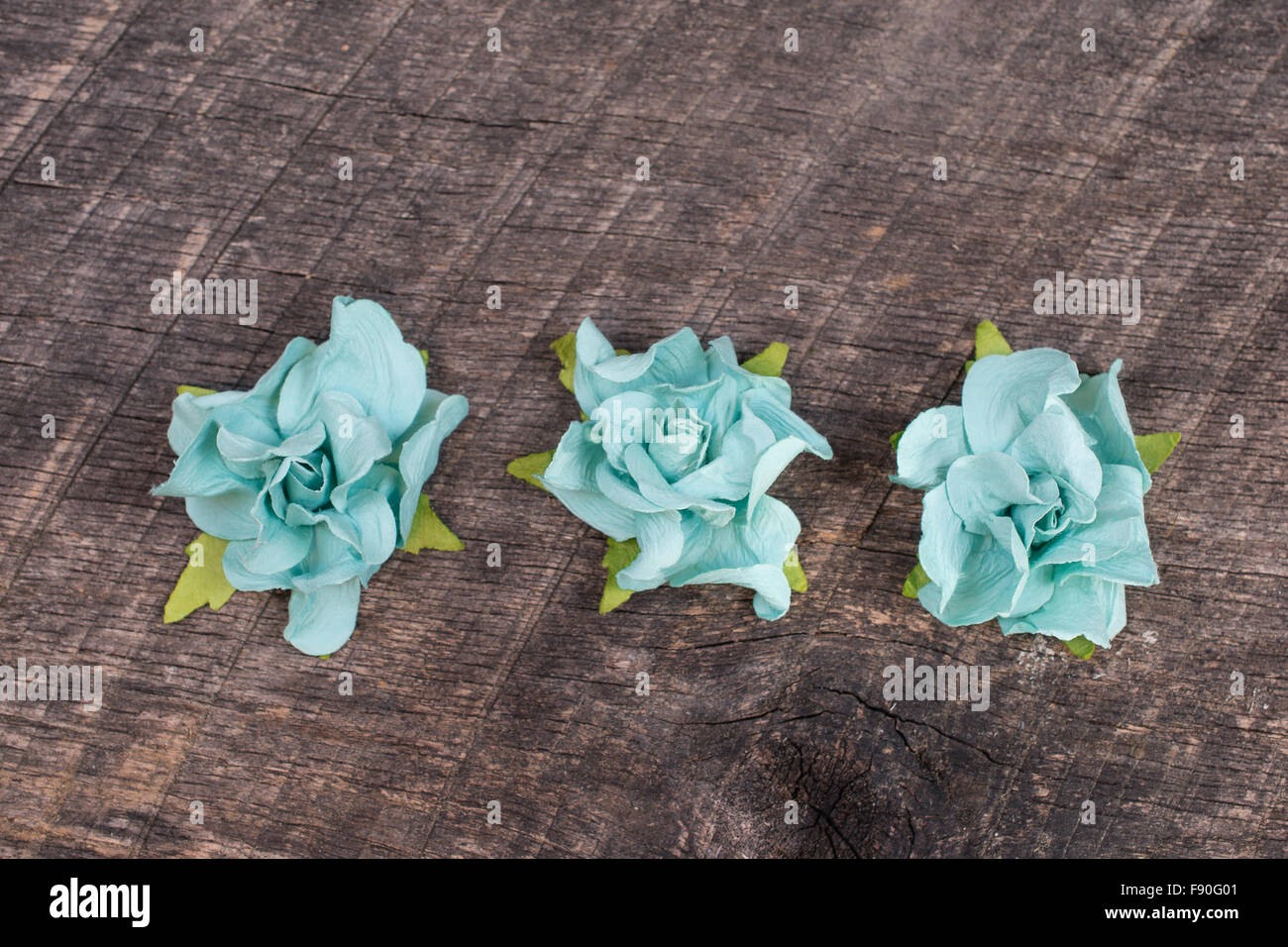 Tre light blue rose sul vecchio fienile del legno Foto Stock