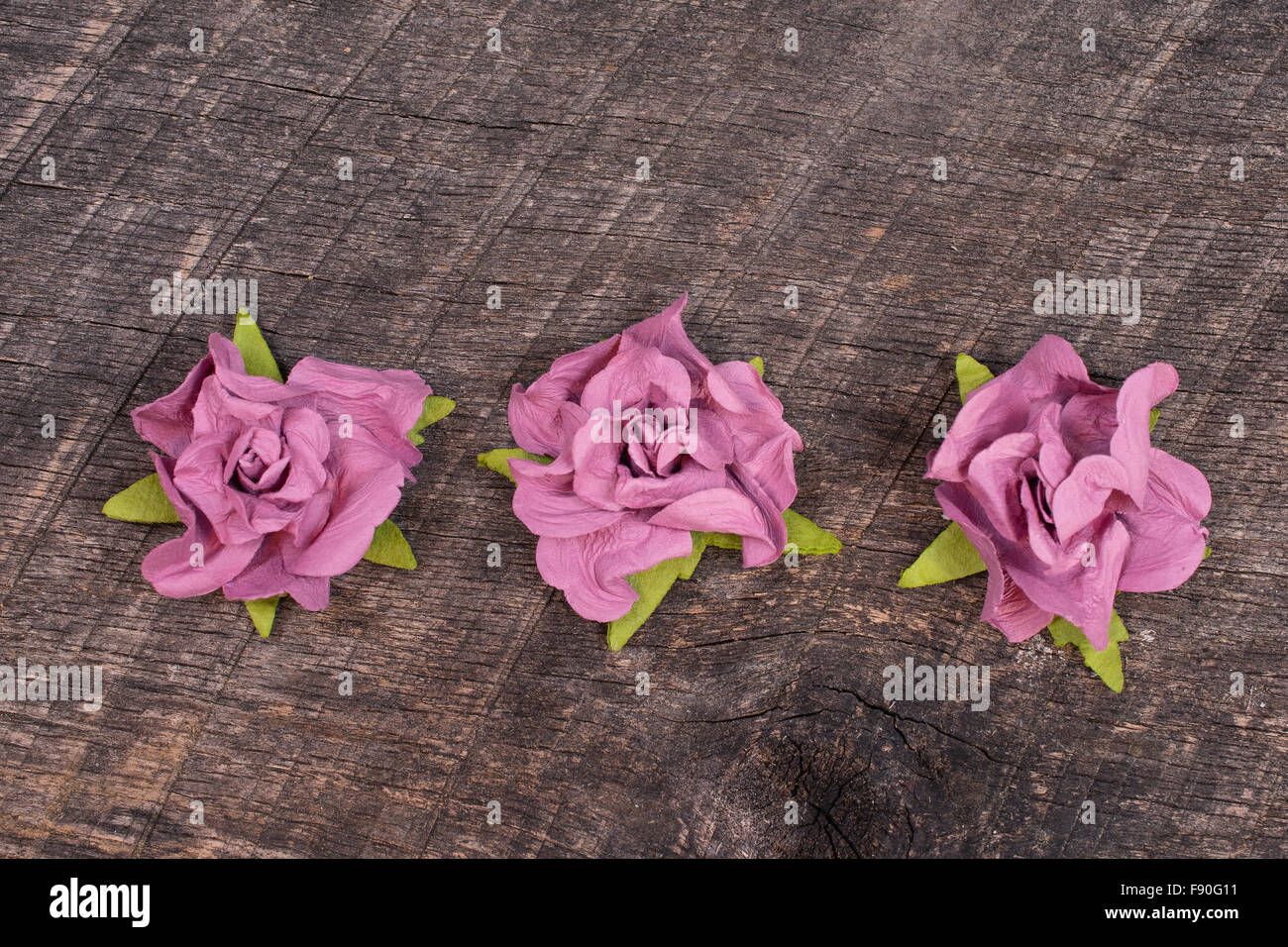Tre fiori malva sul vecchio fienile del legno Foto Stock