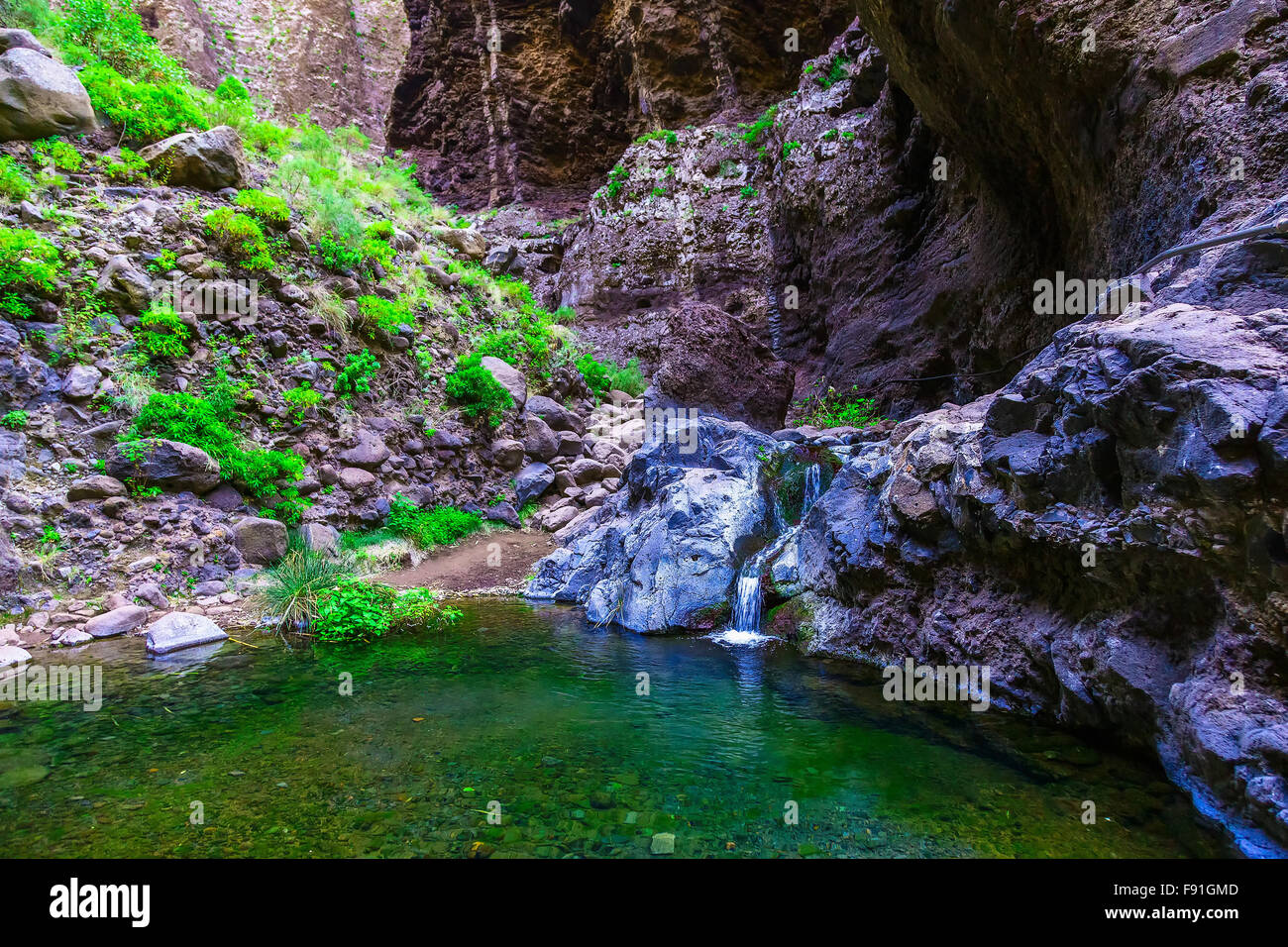 Piccolo lago in montagna a Tenerife Isole Canarie in Spagna Foto Stock