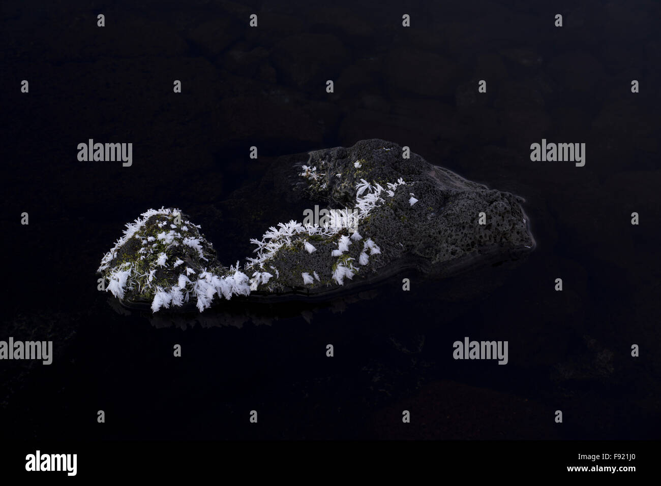 Il gelo e pietre, ath lago ThingvellirIceland, a -13°C Foto Stock