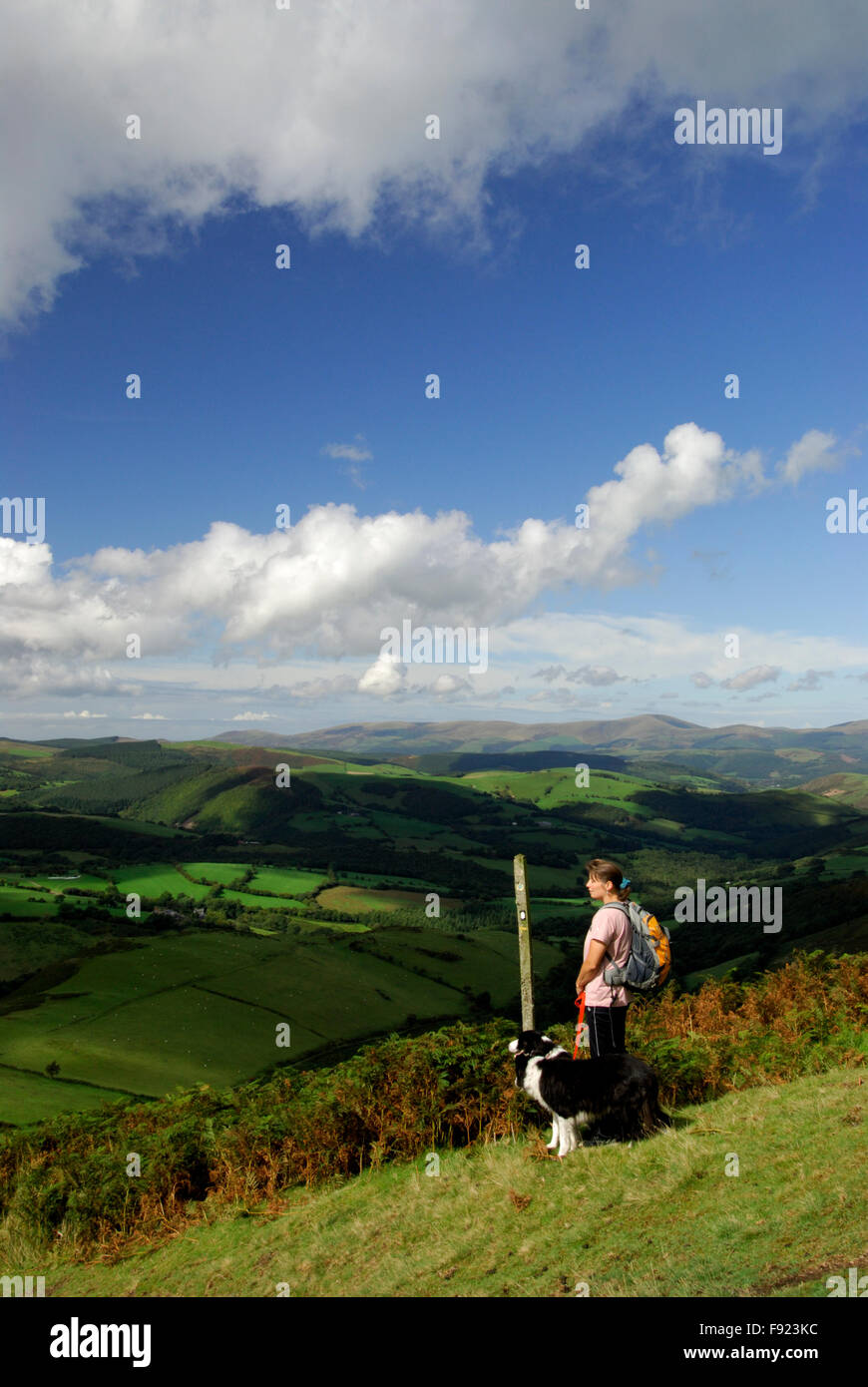 Il camminatore femmina con cane in modo Glyndwrs vicino a Machynlleth POWYS REGNO UNITO. Foto Stock