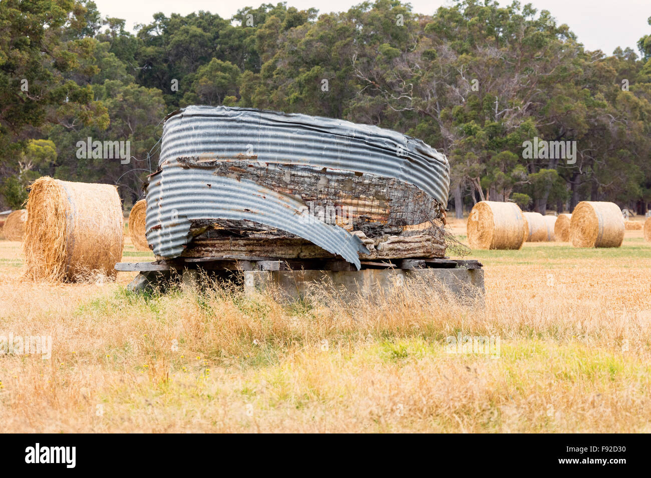 Classic Australian trascurata regione agricola Foto Stock