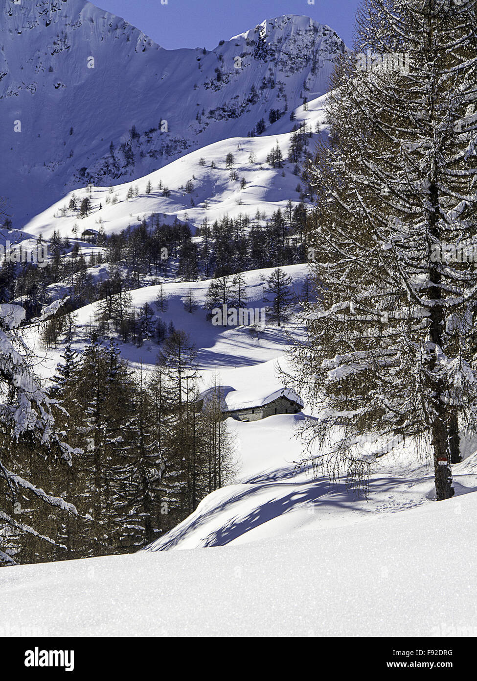 Paesaggio invernale con neve nelle Alpi Italiane Foto Stock