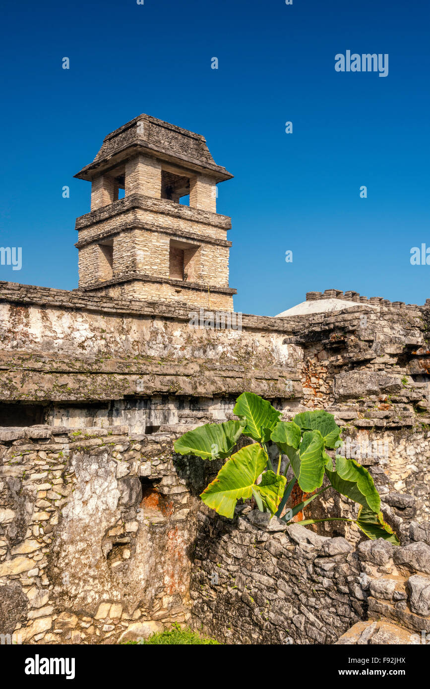 Torre di osservazione a El Palacio, rovine Maya a Palenque sito archeologico, Chiapas, Messico Foto Stock