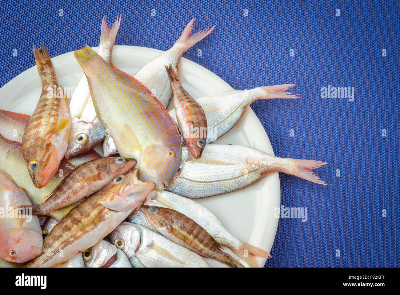 Recentemente catturati pesci pronti per essere cucinati Foto Stock