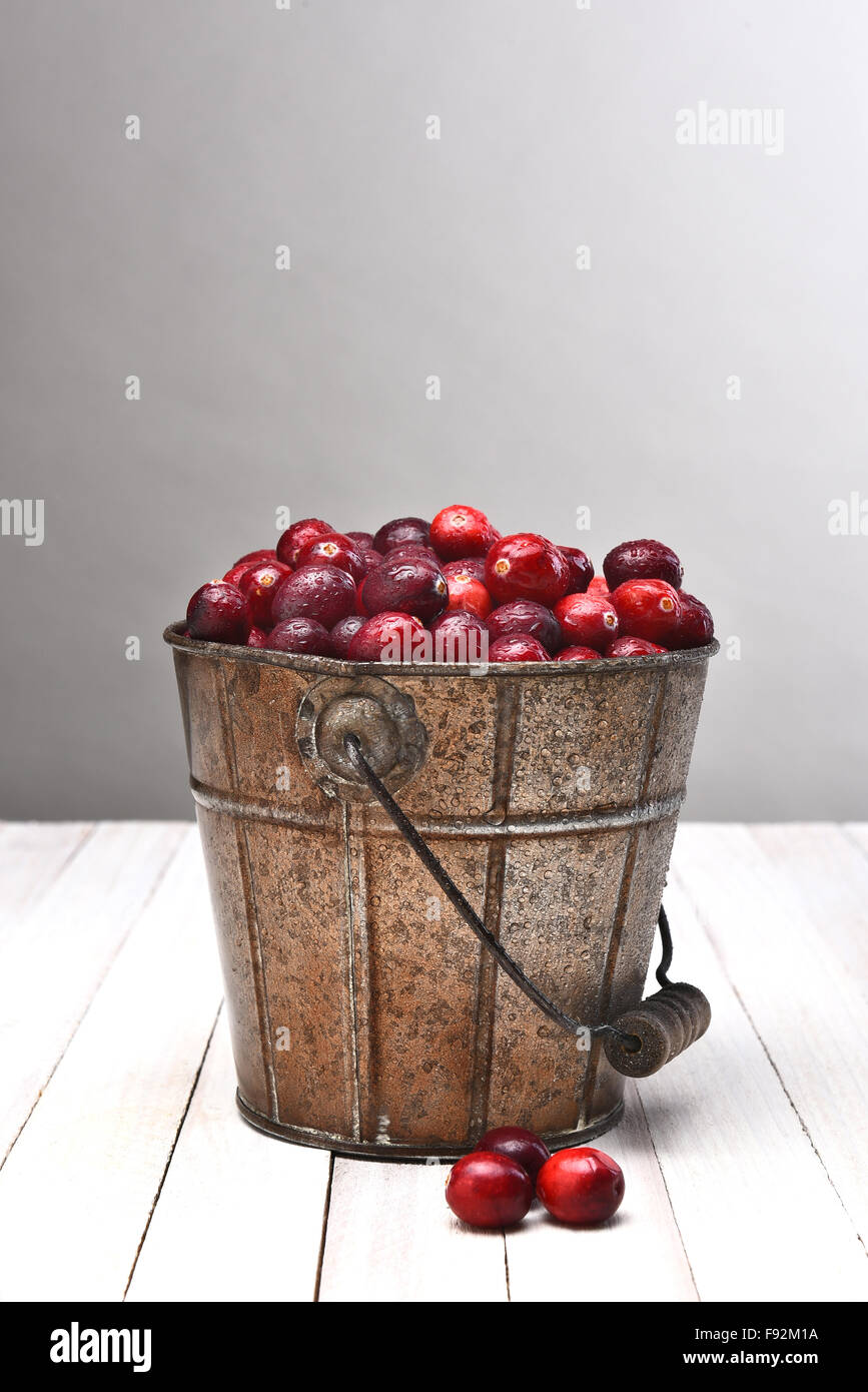 Un secchio pieno di fresco intero di mirtilli rossi su una tavola di legno contro una luce di sfondo grigio scuro. Foto Stock