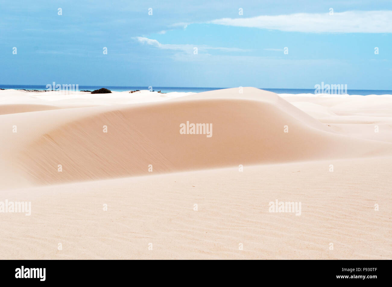 Socotra, Yemen, Medio Oriente: il Mare Arabico al termine delle dune di sabbia di stero, Aomak beach, area protetta, 4x4 escursione nel deserto, Foto Stock