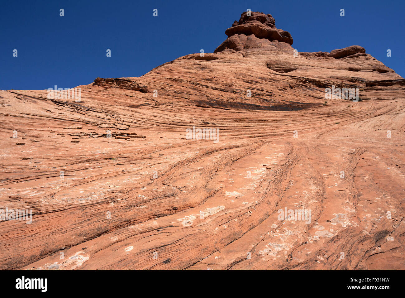 Formazione di roccia, texture, giardino di Eden, Arches National Park, Utah, Stati Uniti d'America Foto Stock