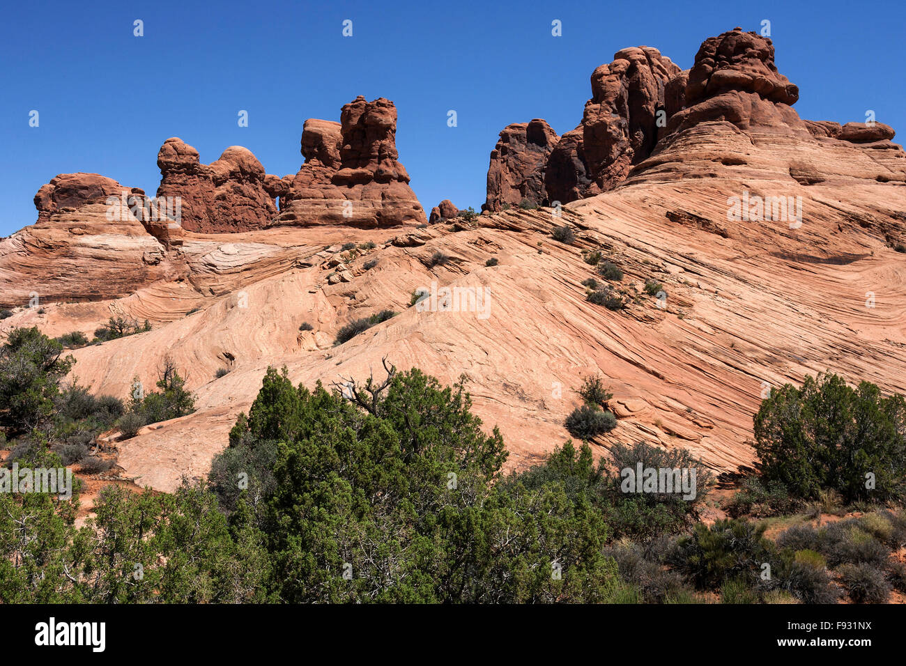 Formazione di roccia, texture, giardino di Eden, Arches National Park, Utah, Stati Uniti d'America Foto Stock