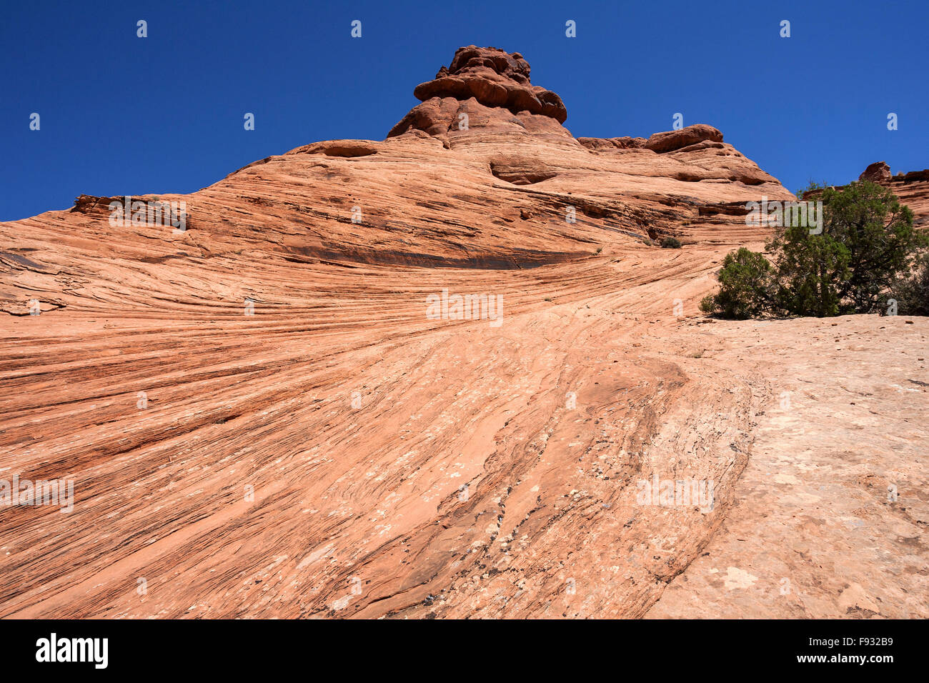 Formazione di roccia, texture, giardino di Eden, Arches National Park, Utah, Stati Uniti d'America Foto Stock
