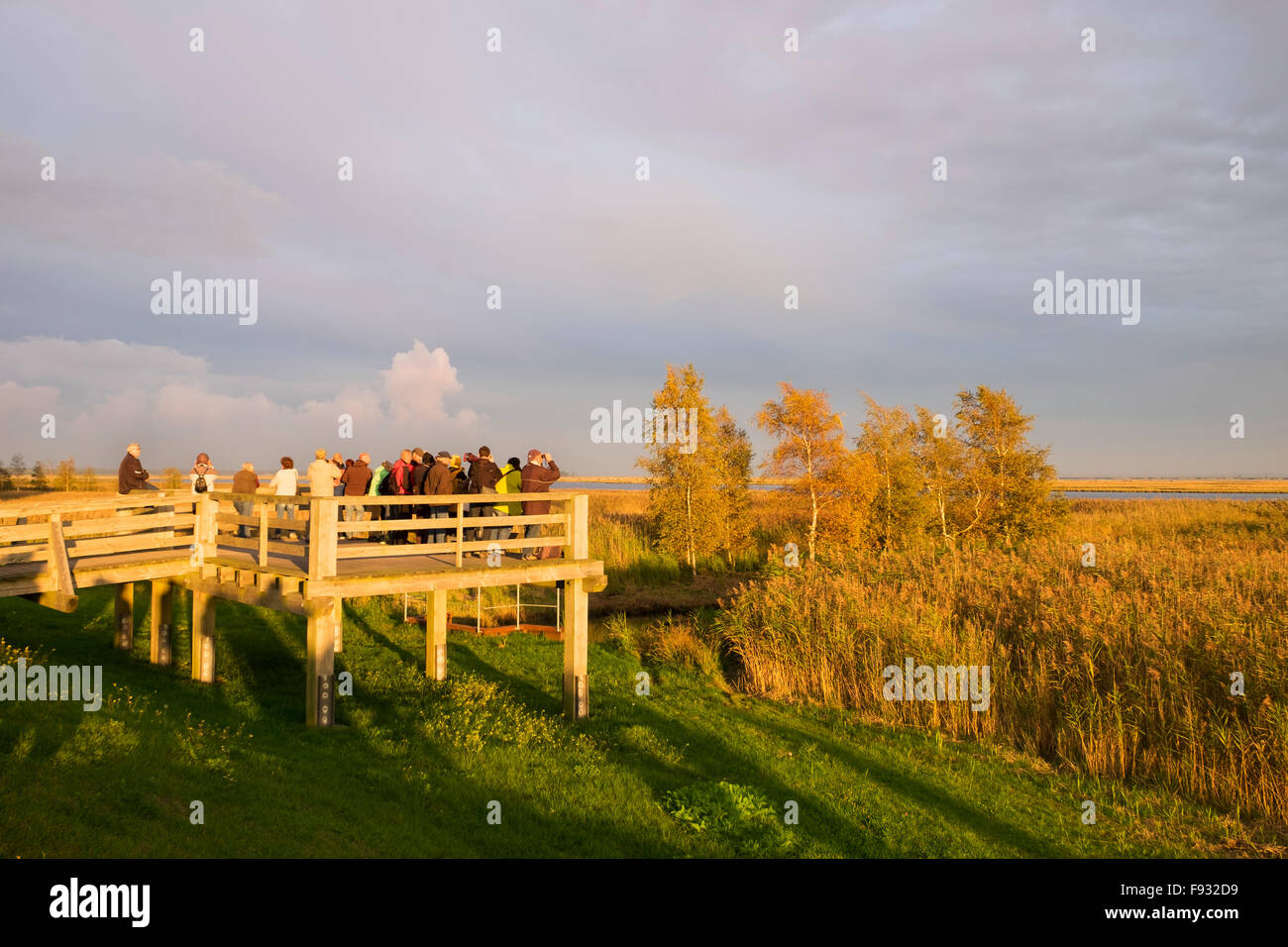 Bird watching ponte in Ostseeheilbad Zingst, Mar Baltico Health Spa, sera, isola Kirr dietro, Fischland-Darß-Zingst, Foto Stock
