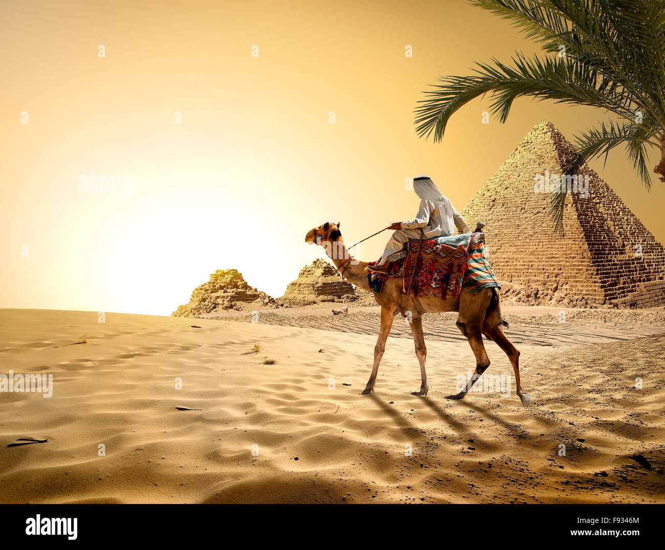 Cammello vicino a piramidi nel caldo del deserto di Egitto Foto Stock
