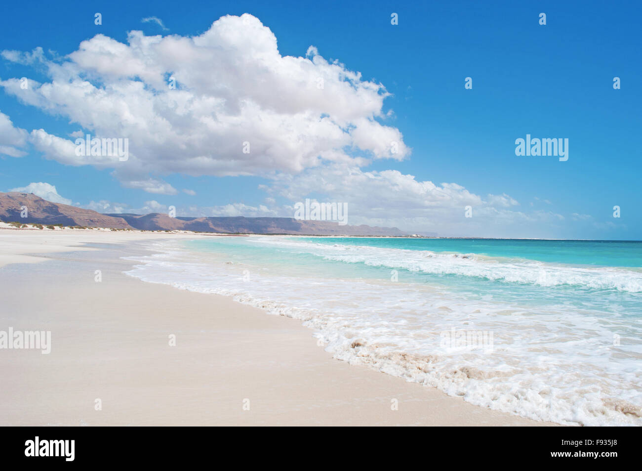 L'area protetta di Aomak beach, Golfo di Aden, Mare Arabico, isola di Socotra, Yemen, Medio Oriente, centro di biodiversità unico Foto Stock
