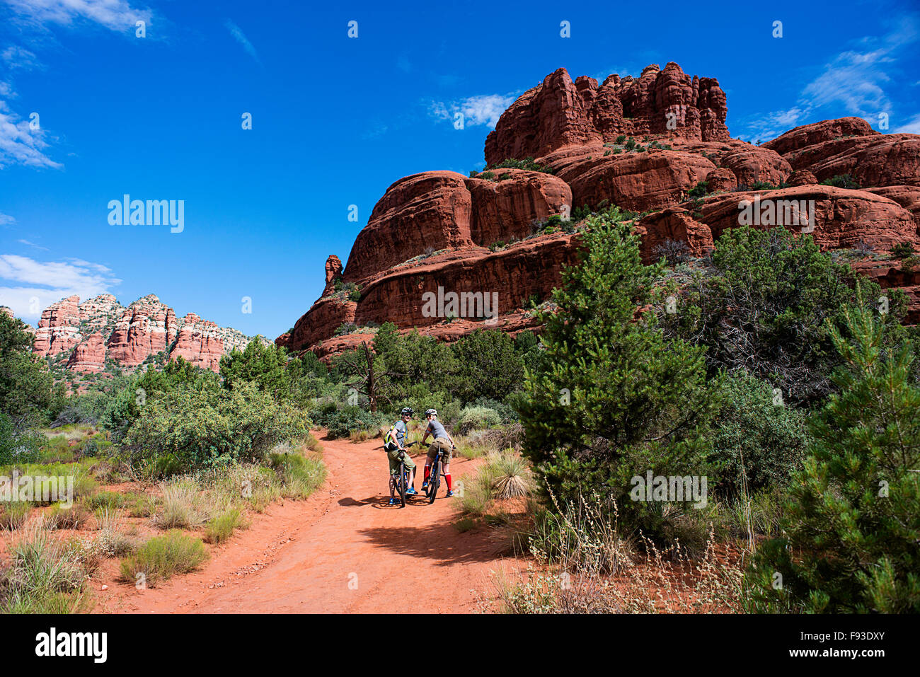 Un giovane su mountain bike vicino a Sedona in Arizona. Foto Stock