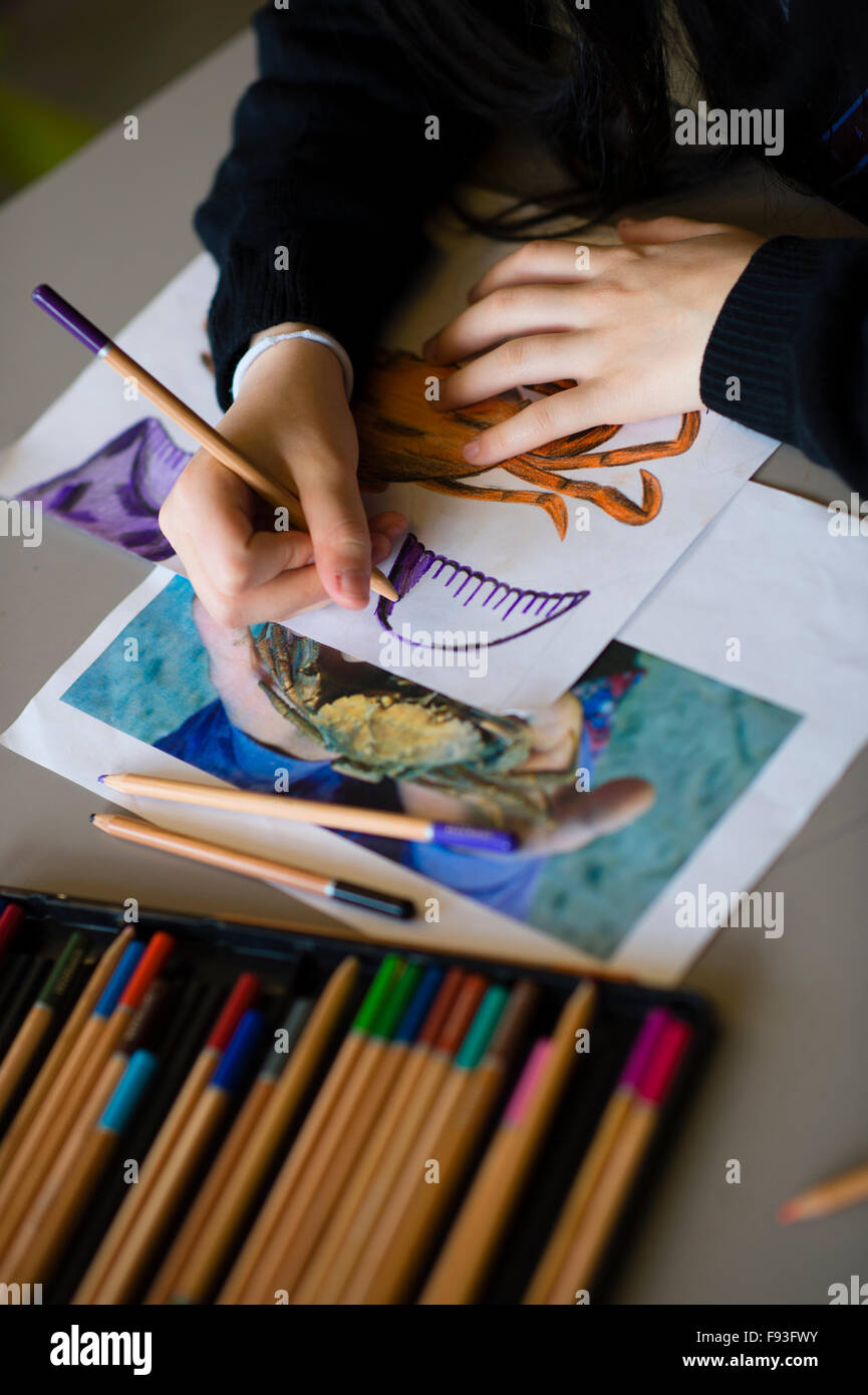 Istruzione secondaria Wales UK: un sesto per la ragazza che lavora su di lei un livello arte disegno lavorano in un aula scolastica Foto Stock