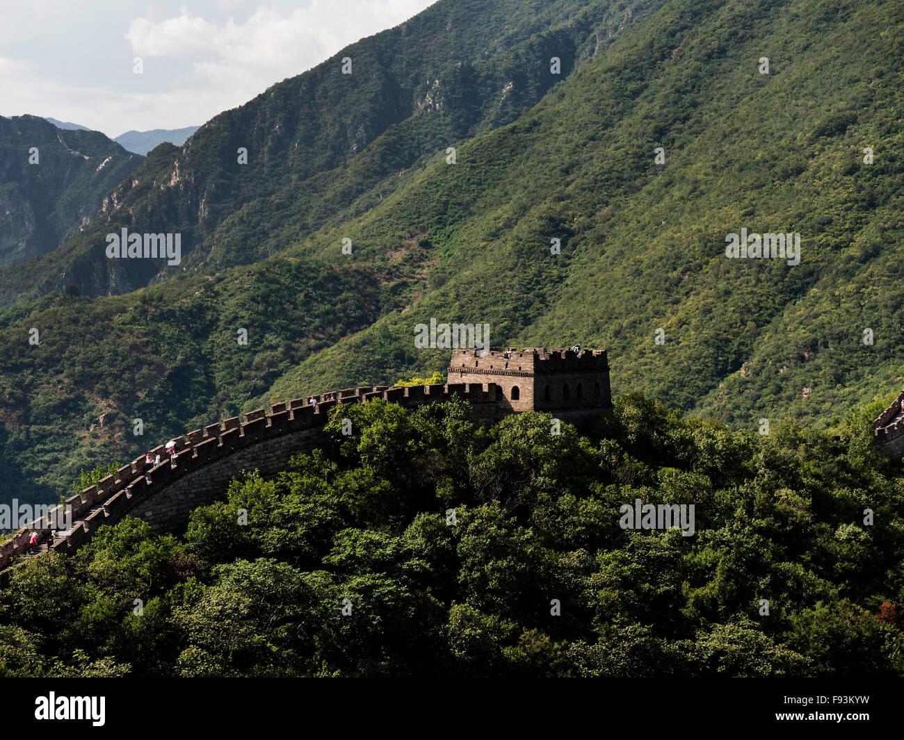 Grande Muraglia a Mutianyu, Cina, Asia, patrimonio mondiale Foto Stock