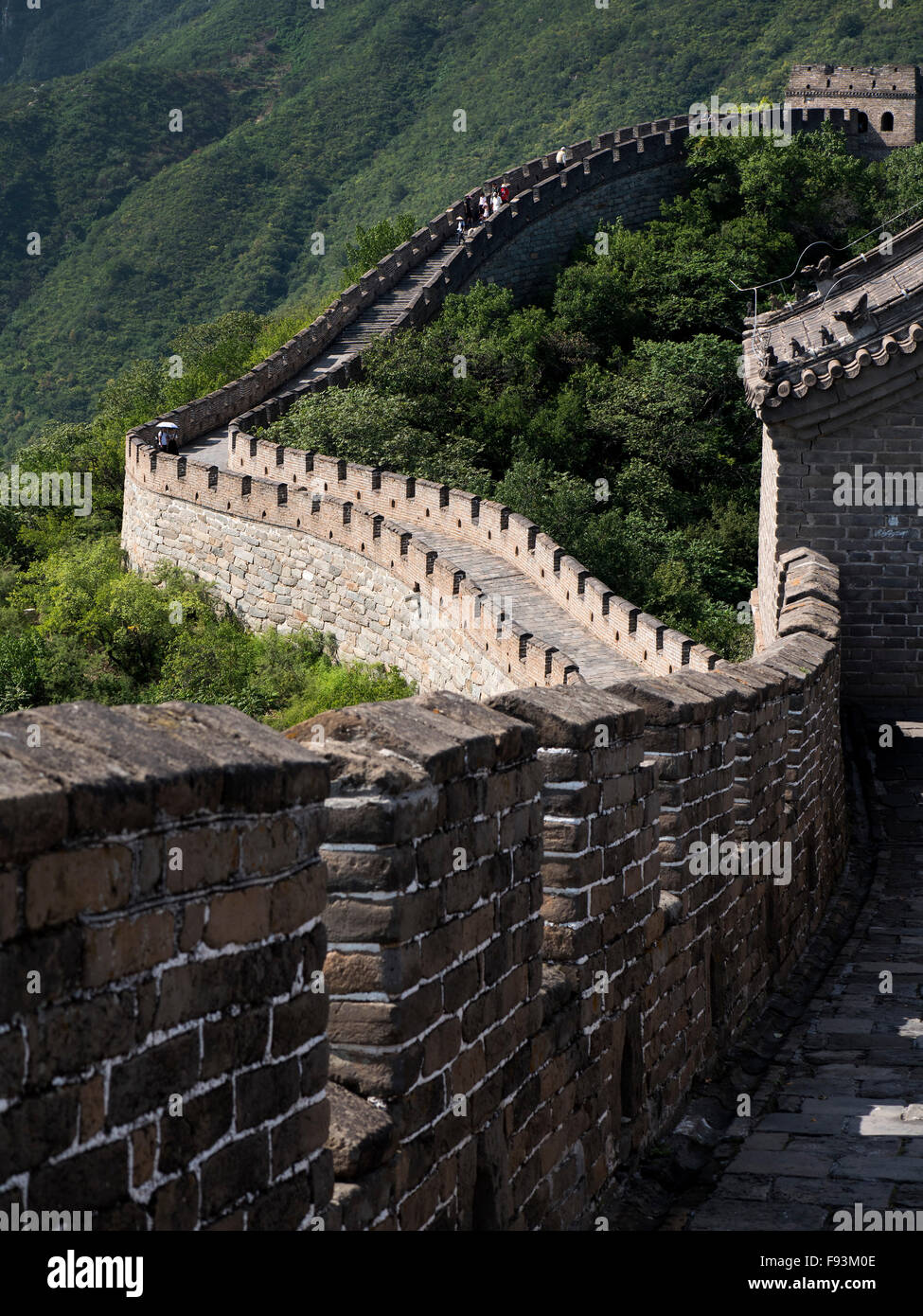 Grande Muraglia a Mutianyu, Cina, Asia, patrimonio mondiale Foto Stock